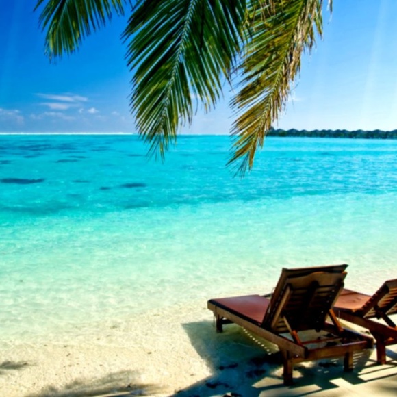 Name Brands For Less! - Picture 5 of 8